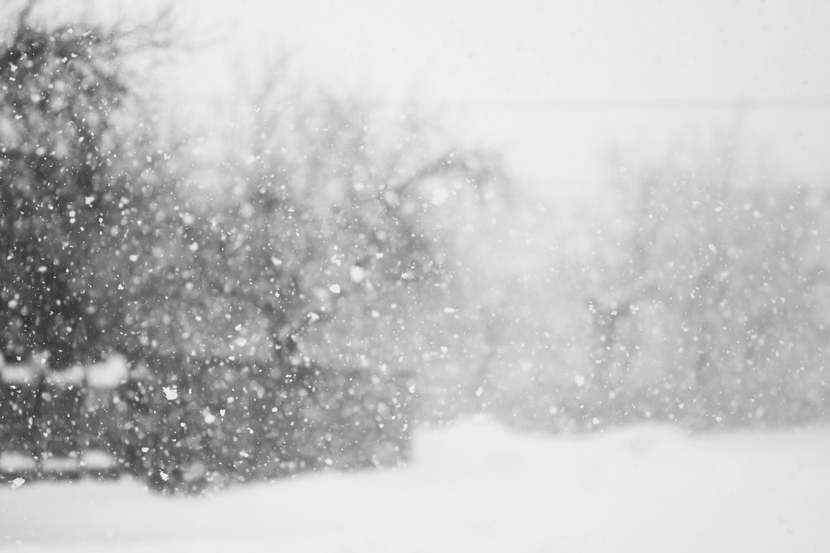 snow on the windshield small