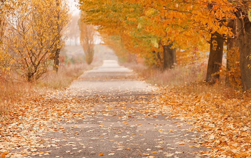 shutterstock_159421667