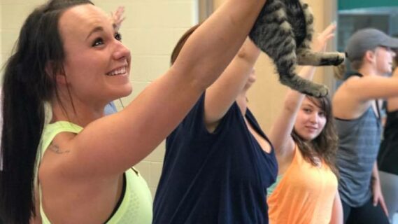In-Person Donation Class: Cat Yoga at the Humane Society of Marathon County
